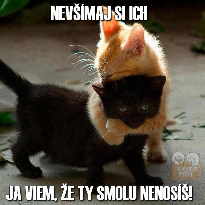 juuuuuuj!!!!!! ^___^