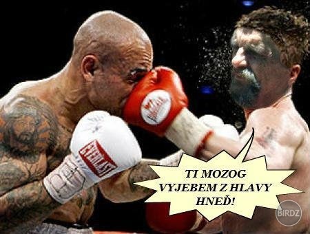 Obrázok