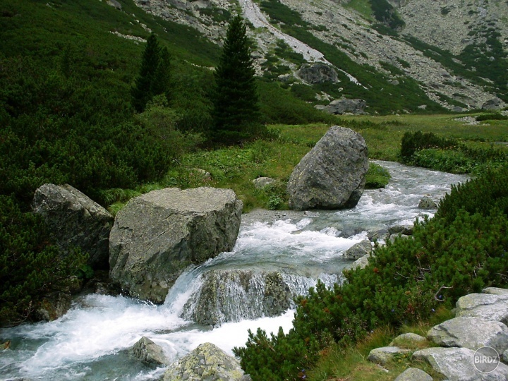 Obrázok
