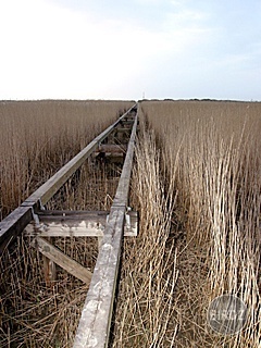 Obrázok