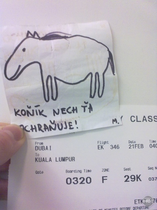 Koník ma ochraňoval v Dubaji na letisku ! :)
