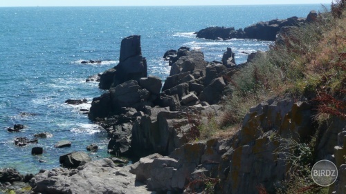 Obrázok