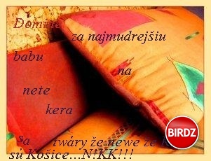 Preklad: Domine, za najmudrejšiu babu na nete, kera sa twáry ze newe, ze KE su kosice :D:D 