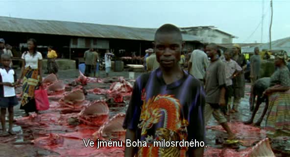 Workingman's Death ( Glawogger, 2005)