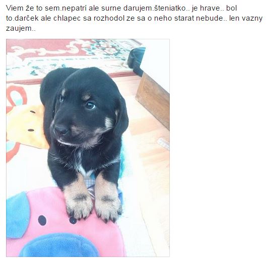 tak typické
