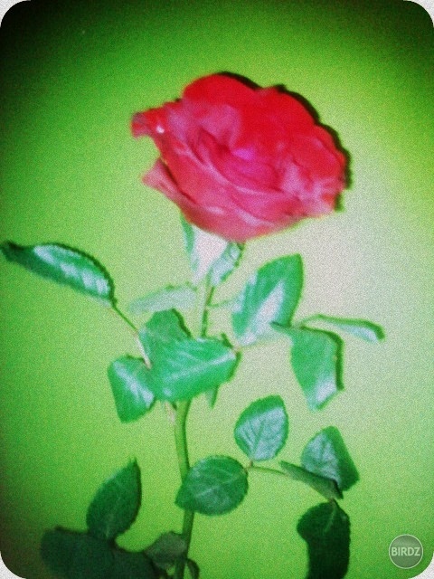 dostala som :) 