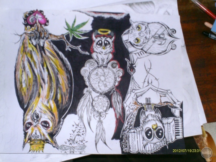 dnes som si konečne sadol k tomu tvojmu cute owl, a toto s toho vzniklo...