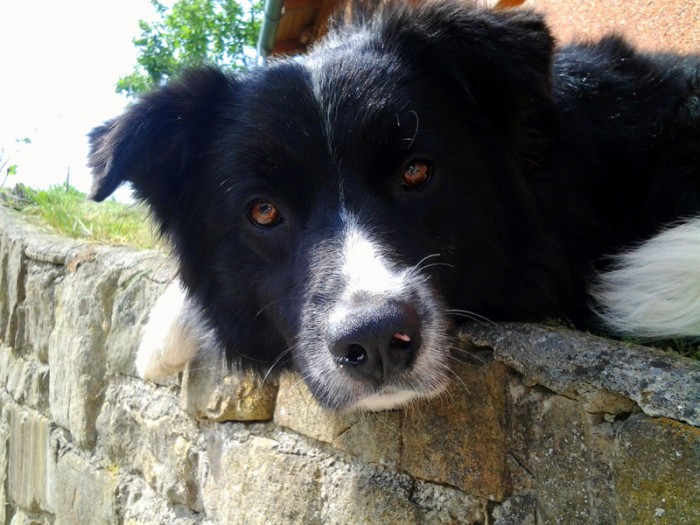 Modelka moja :-* :-* :-*
