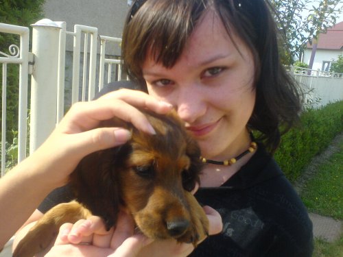 Ja s havom :)
