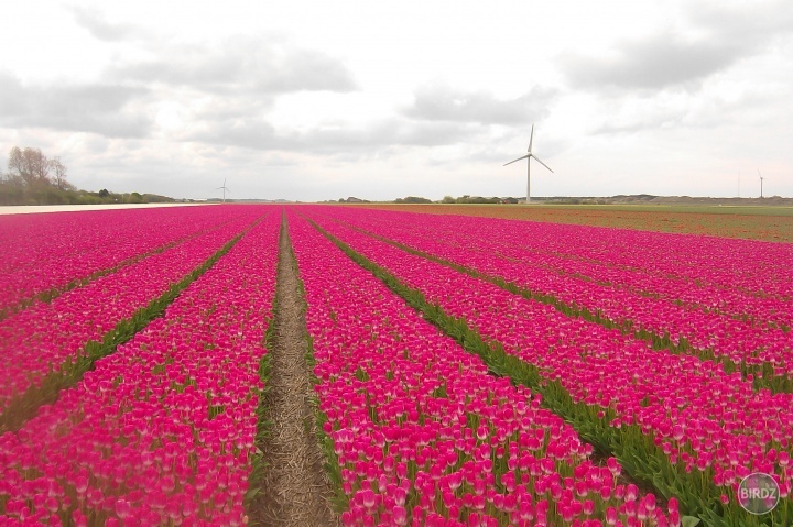 nord holland