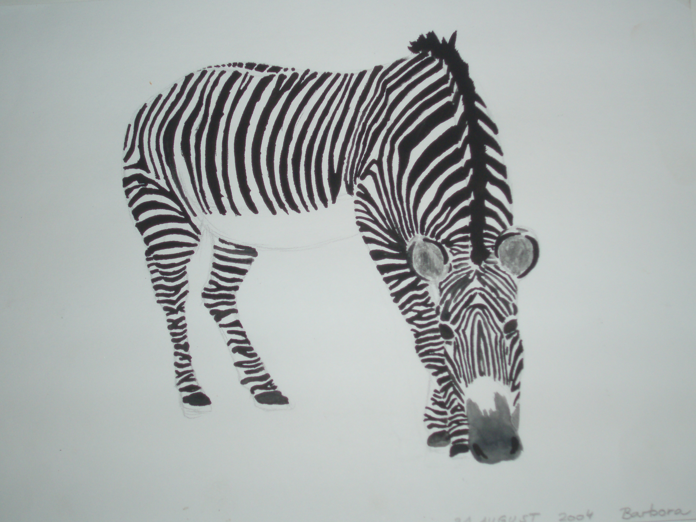 Zebra