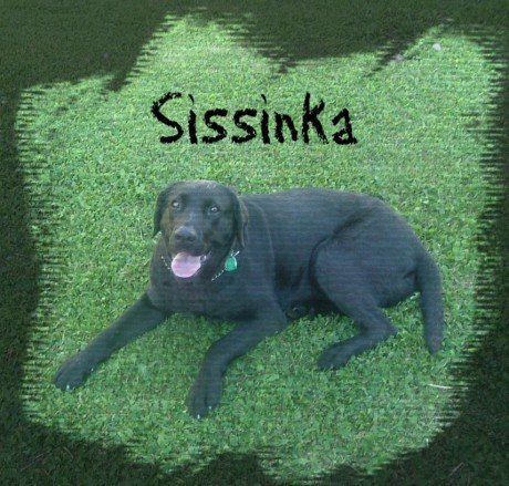 Sissinka