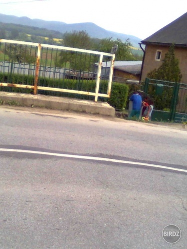 noo ... =D .. umelecka foto !! =D ..
