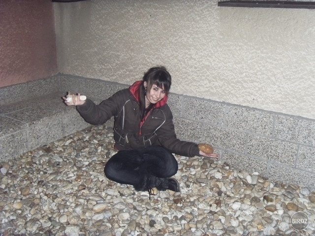 Obrázok