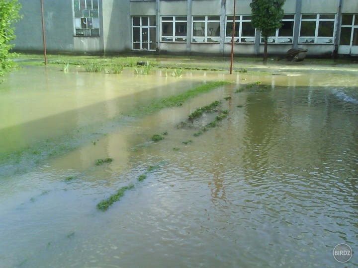 Naša škola deň pred vysvedčenim 