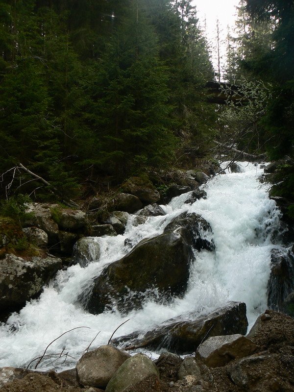 Vysoké Tatry