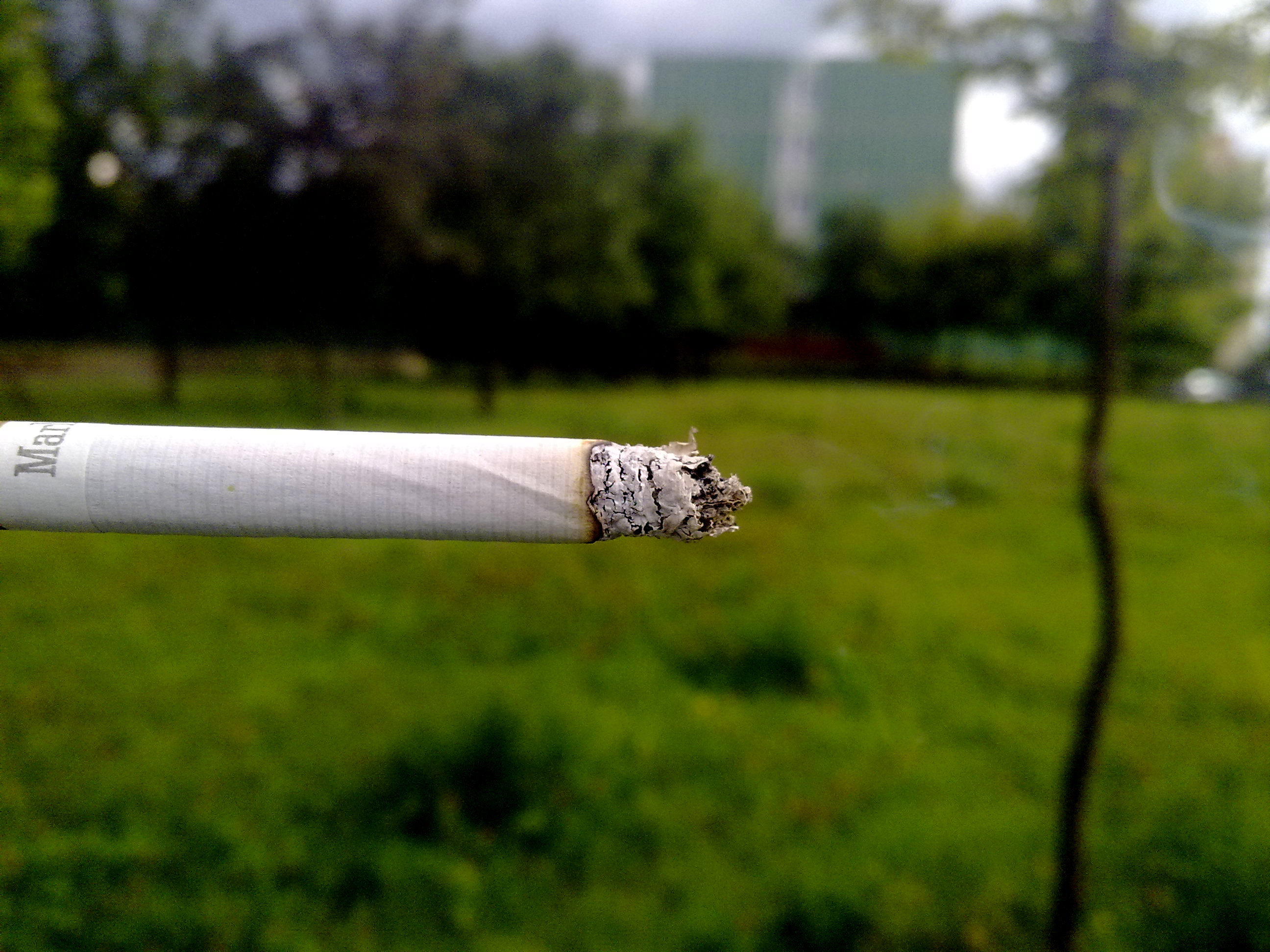 Cigarette .