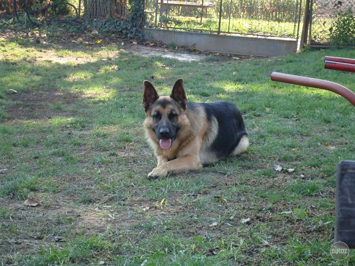 Obrázok