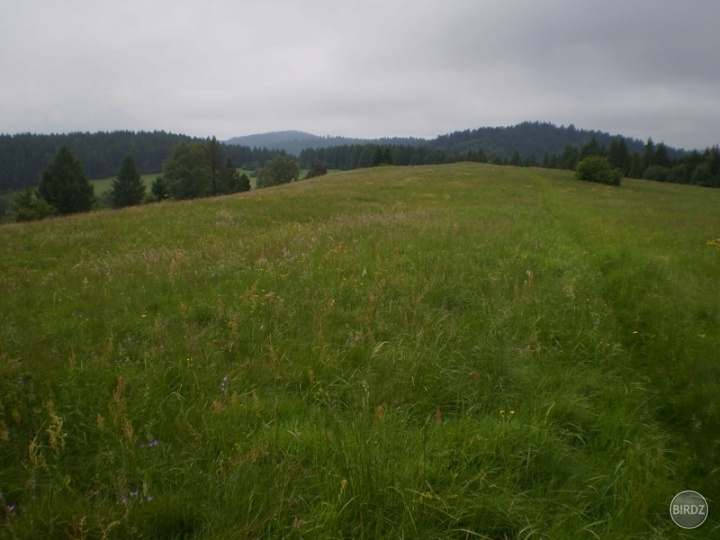 horské lúky