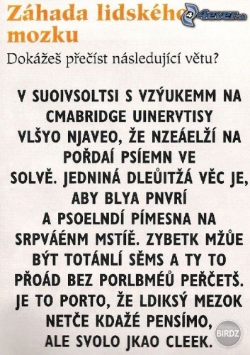 Obrázok