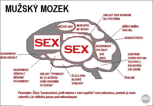 vraj mužský mozog :D