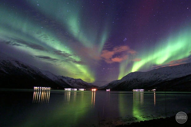 Aurora