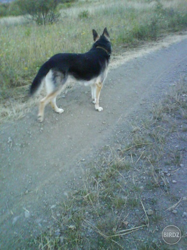 Obrázok