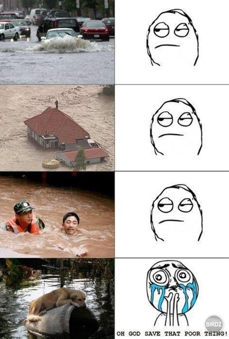 ...čistá ja :D 