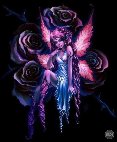 fairy-1-1