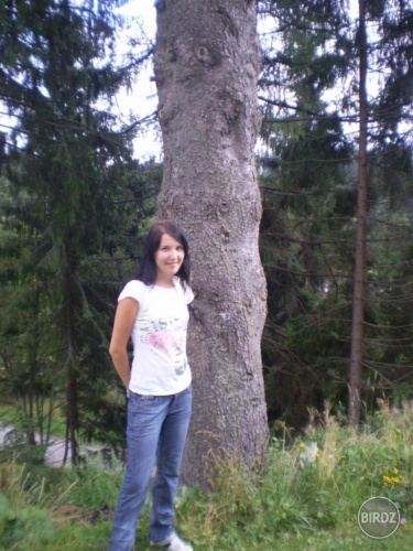 Obrázok
