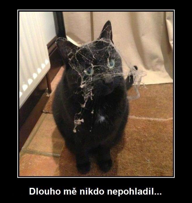 Obrázok