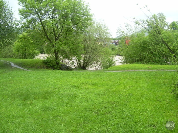 Obrázok