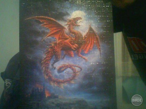 tieto puzzle mi trvali pol dňa (500ks)