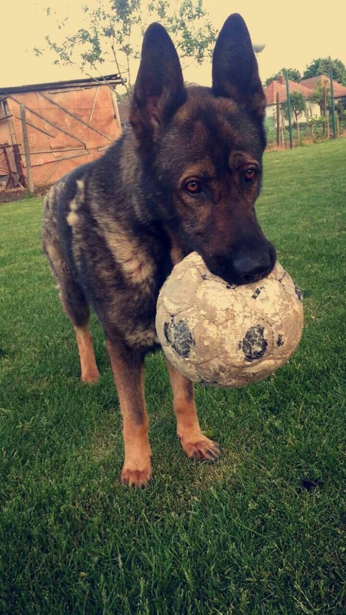 Nerninko :)