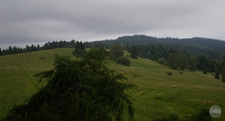 Horské lúky Levočských vrchov z posedu pod Bišarom