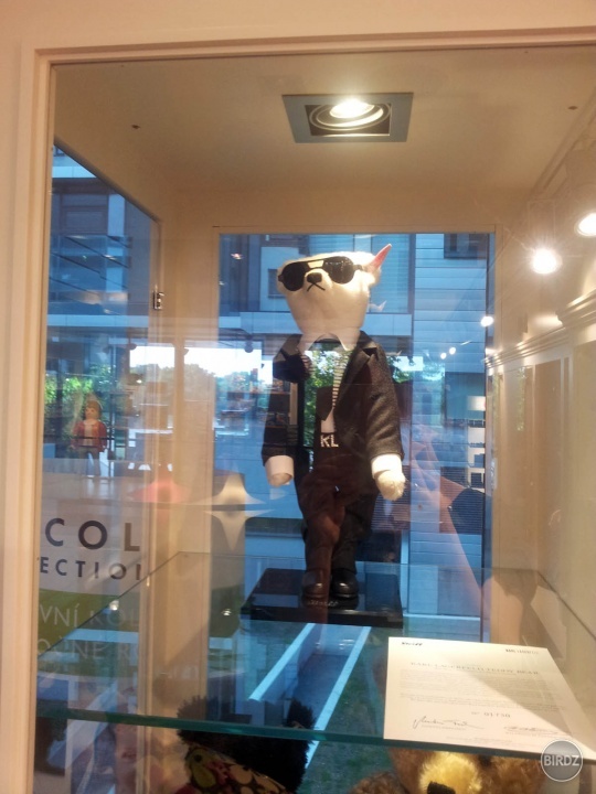 Karl Lagerfeld medvedík:D 