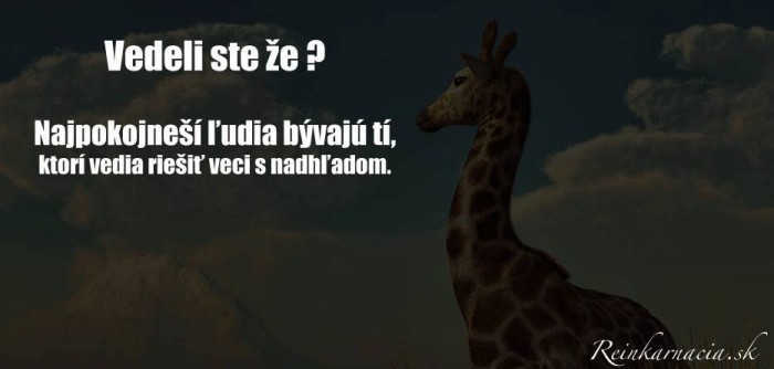 Obrázok