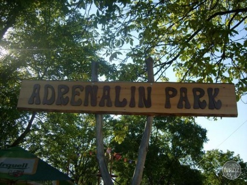 adrenalin park