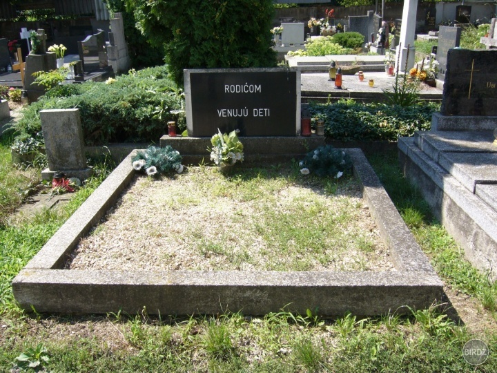 Už viem, čo chcem k 45ke od svojich detí!