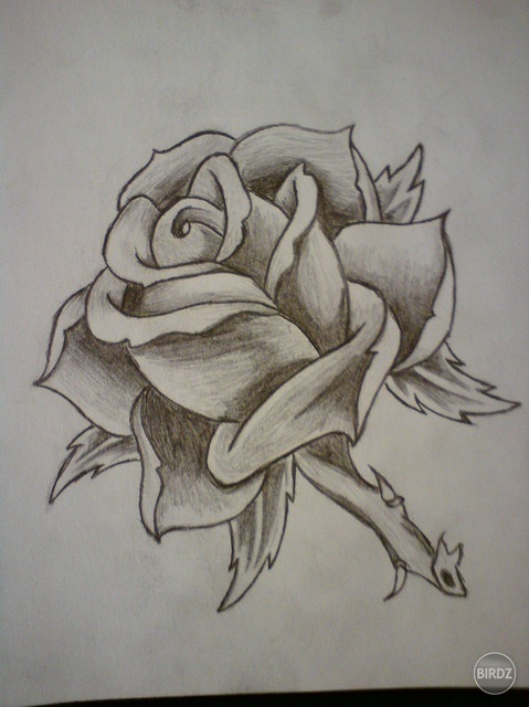 Ruža pre Kačátko :)