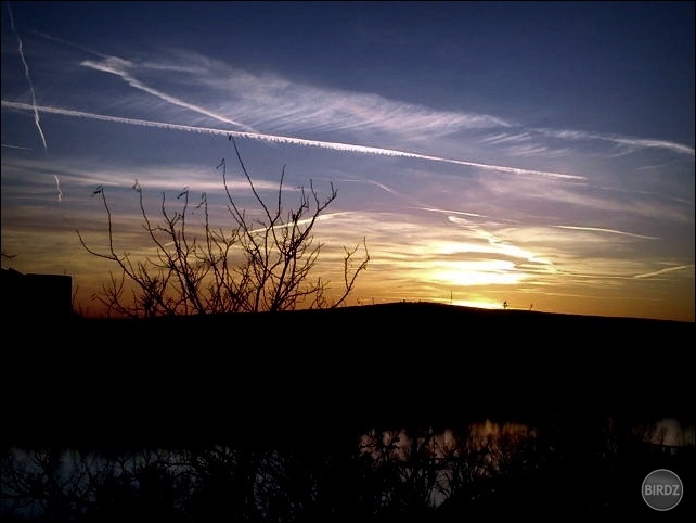 Can we pretend that airplanes
In the night sky are like shooting stars ?
