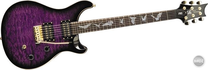 Paul Allender Guitar 