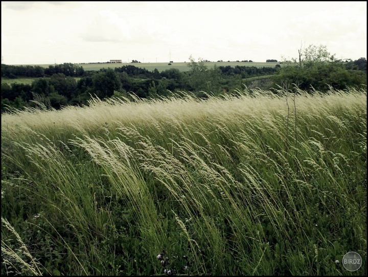 Obrázok
