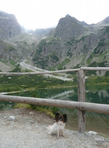 Zelené pleso