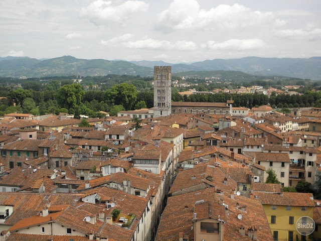 Lucca, vyhlad zo zvonice