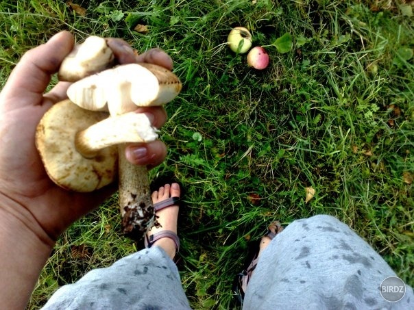 Na lazoch, tiež s Tomášom. Poznáte pieseň Hlídač kráv od Nohavicu? Lebo podľa mňa, keď ju písal, musel byť práve na takom mieste, na akom sme boli vtedy my. Čučoriedky, jahody, huby, jablká, dážď, hory, lesy, výhľad, vôňa, samota, ticho. 