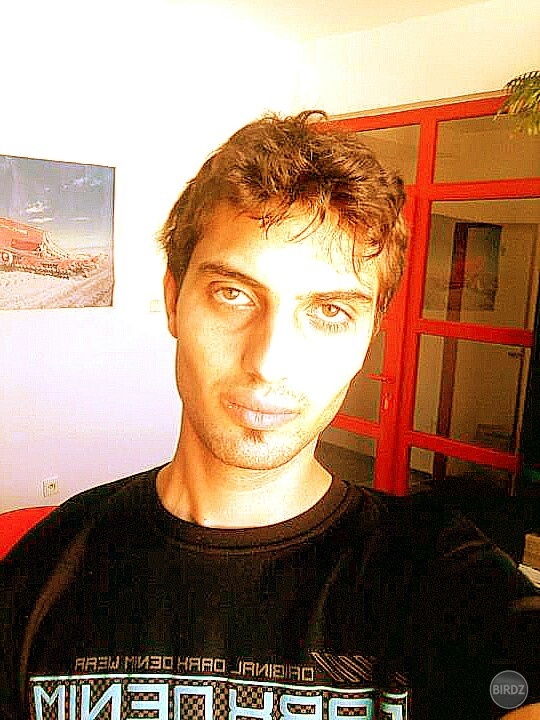 V robote