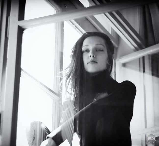 In the Window