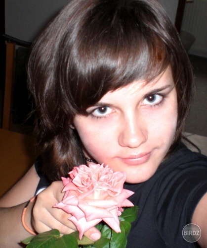 Obrázok