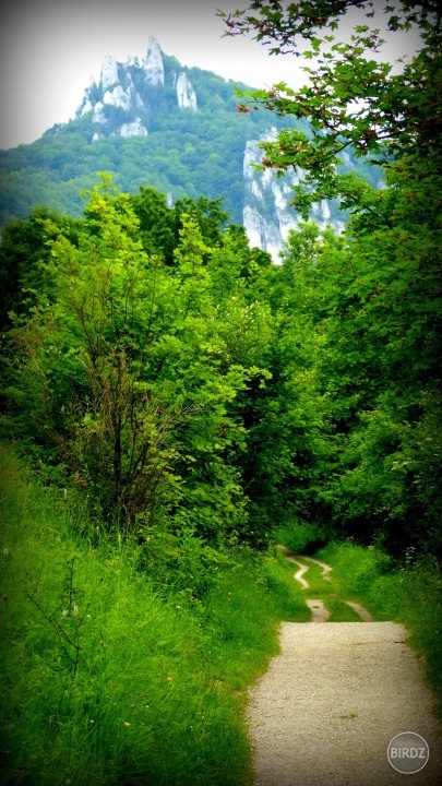 Obrázok